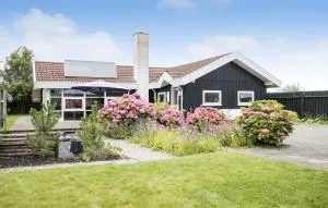 Three-Bedroom Holiday Home In Otterup - Tørresø