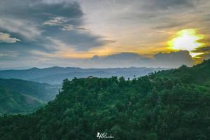 One villa coffee farm stay 1