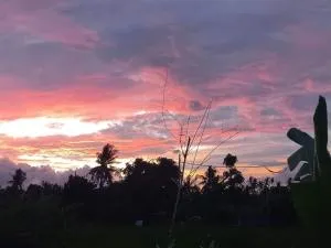 Private villa Bamboo Cozy - 罗威那