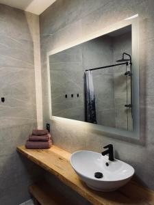 Korony Drzew - Apartament nad jeziorem - prywatny pomost