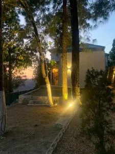 The Lans Mist- A Perfect Getaway For Your Vacation - Pauri