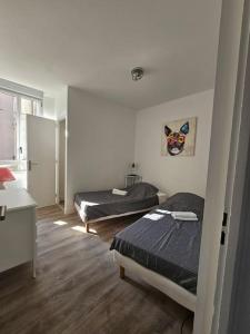 Appartements Le Rustique Lourdes Coeur de vIlle : photos des chambres