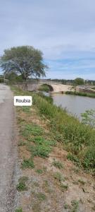 B&B / Chambres d'hotes Entre canal et garrigue : photos des chambres