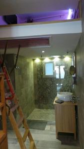 Studio avec mezzanine