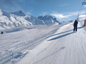 Appartements Chalet Walser a VALLORCINE 13 kms CHAMONIX France : photos des chambres