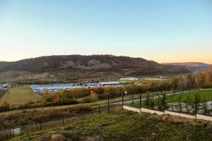 Zöld Liget Apartman House