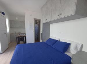 Agria Rigani Studios