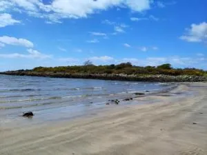 Birds Nest - Girthon