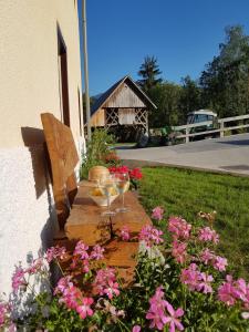 Escape to Bohinj House 