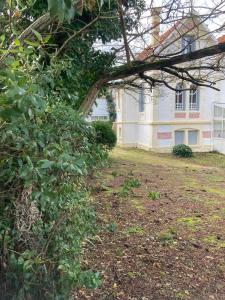 Appartements Duplex idealement situe : photos des chambres