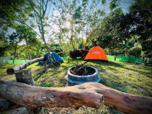 Tierra Bukid en Amadeo