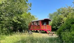 Domaine de la Grangée - Le Louroux