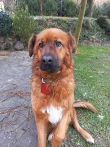 Szőlőskert Vendégház