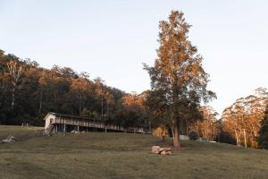 Budgong Lodge - Kangaroo Valley