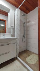 Studio apartman Petra