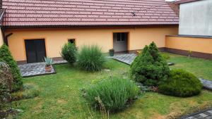 Studio apartman Petra