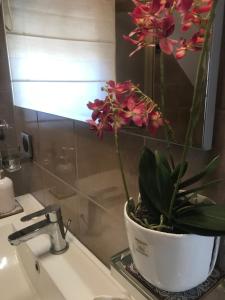 Betoniche Home