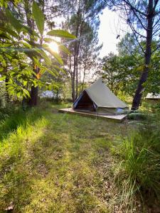 Campings Camping la Kahute - Tente tipi au coeur de la foret : photos des chambres