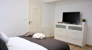 Appartements Arles' Haven - Le Loft du Centre : photos des chambres