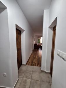 Apartment Pirin