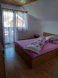 Cabana Ioana Balas - 马里瑟尔