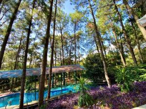 Pine Hill Villas & Camping