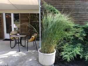 Appartements STUDIO : photos des chambres