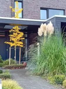 Klause am grünen Hof - Neuvrees