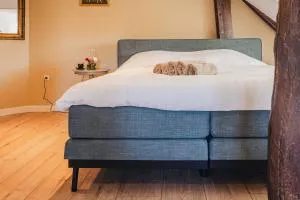 La Fornaccia - 安卢