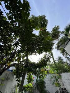 Hammock Beach Home Full House