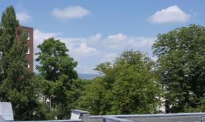 Gemütliche helle Dach-Wohnung in Frankfurt