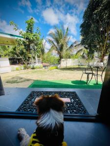 Tierra Bukid en Amadeo