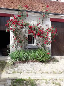 Maisons de vacances Jolie longere pres de Beauval et Valencay : photos des chambres