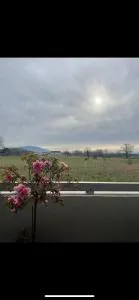 Charming studio - board of Geneva - Port-de-Corsier