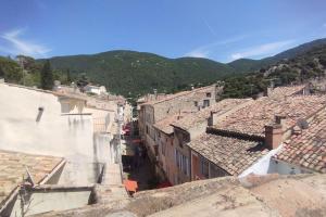 Les Toits Nyonsais