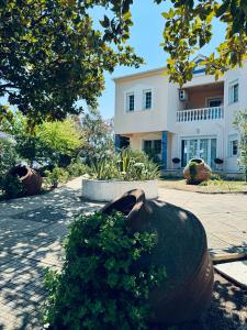 Villa Garden