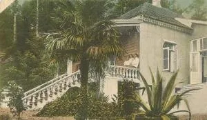 House on Magnolii 1 - 姆兹瓦内康茨基