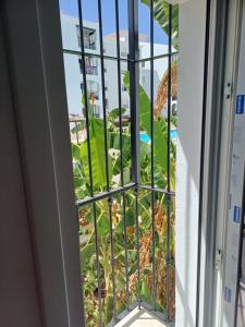 Beautiful Beachfront Newly Renovated 2 Bedroom Apartment with Swimming Pool and Garden