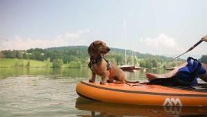 Feriendorf am Maltschacher See