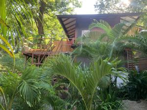 The Beach Bungalows Tamarindo- Adults Only