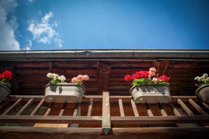 Lodges Marmotte Mountain Manor : photos des chambres