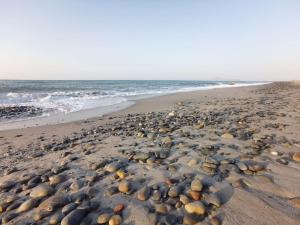 两卧室公寓-带露台花园