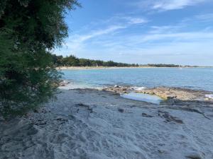 La Belle Odet- - choix d-appartements- Centre ville-quais : photos des chambres