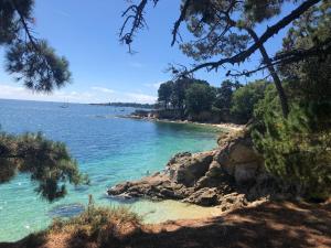 La Belle Odet- - choix d-appartements- Centre ville-quais : photos des chambres