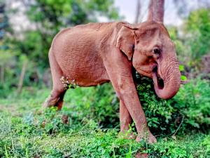 River Edge Holiday Resort