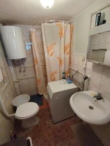 Domaćinstvo Zasavica