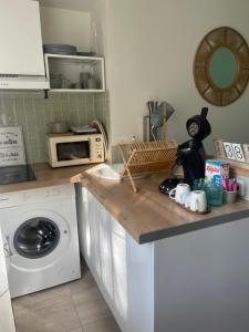 Appartements Le petit cocon : photos des chambres