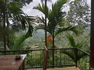Shalomi Inn Ninearch - Badulla