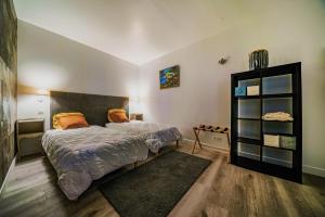 B&B / Chambres d'hotes Gite en face du Chateau de NIZAS, 4 chambres d-hotes et 1 appartement familial avec 2 chambres : photos des chambres