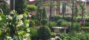 Suite vista panoramica giardino e montagne
